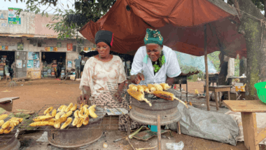 Afbeelding From cash to job creation: 600 young women, 1200 new jobs